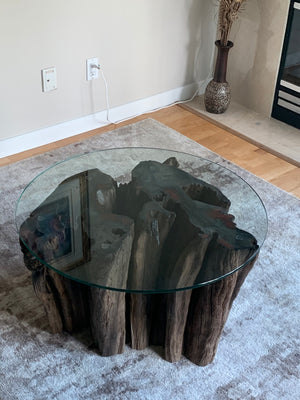 Tree Trunk Coffee Table 2