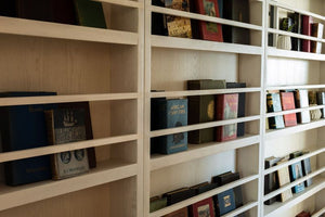 Library Shelves 1