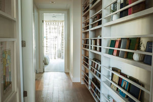 Library Shelves 2