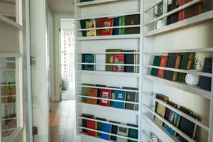 Library Shelves 3