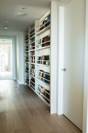 Library Shelves 4