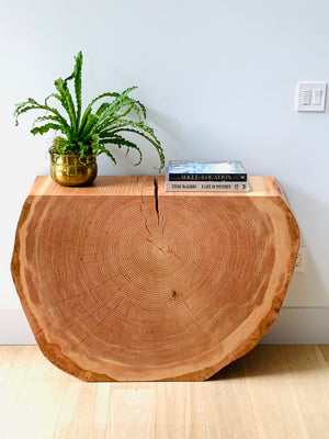 Tree Slice Console Table  1